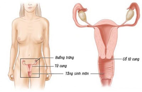 24 co be bi rong thi phai lam sao 2 2 Nguyên nhân làm cho cô bé bị rộng ra