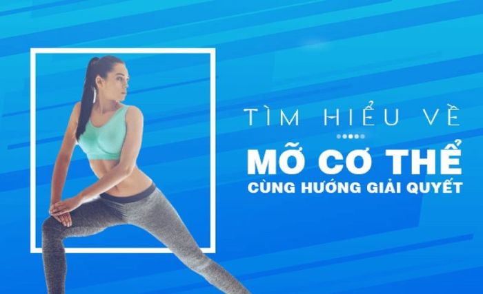 các loại mỡ trong cơ thể 5