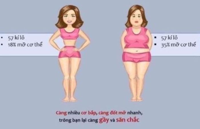 cách giảm mỡ 2