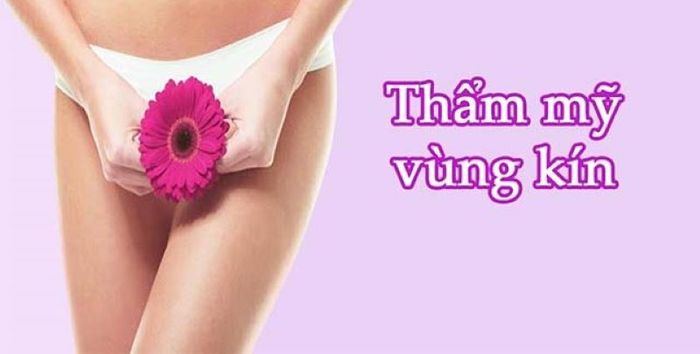 học thẩm mỹ vùng kín ở đâu