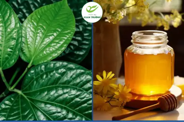 cach tri nam bang la lot 1 Mặt nạ lá lốt mật ong hỗ trợ làm mờ nám da