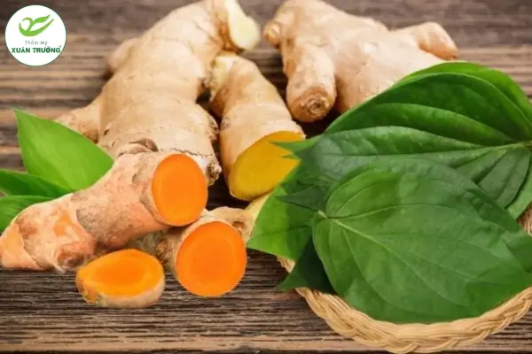 cach tri nam bang la lot 2 Mặt nạ lá lốt và tinh bột nghệ hỗ trợ làm mờ nám da