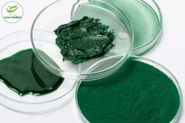 Trị nám bằng tảo xoắn hỗ trợ cải thiện sắc tố da