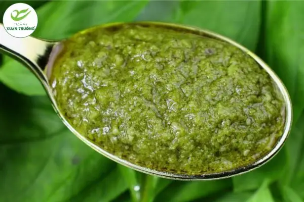 Trị nám bằng lá mồng tơi nguyên chất tại nhà