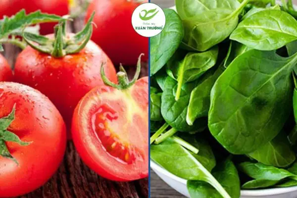 Trị nám bằng lá mồng tơi và cà chua giúp dưỡng sáng da